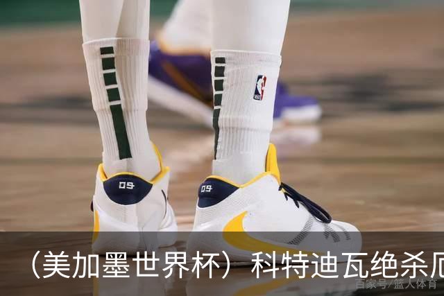 （美加墨世界杯）科特迪瓦绝杀厄瓜多尔 瑞典5:1大胜突尼斯